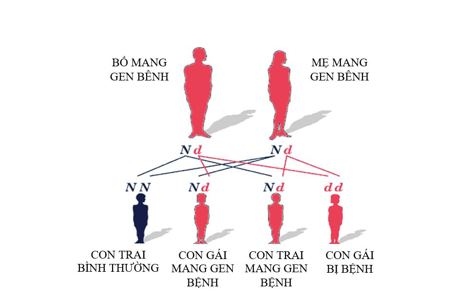 BỆNH THOÁI HÓA CƠ TỦY - Khoa Di truyền và Sinh học phân tử