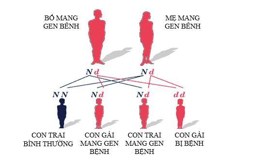 Bệnh Alpha Thalassemia Mất Đoạn Alpha 3.7 Dị Hợp: Hiểu Biết và Hướng Dẫn Điều Trị